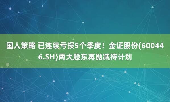 国人策略 已连续亏损5个季度！金证股份(600446.SH)两大股东再抛减持计划