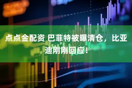 点点金配资 巴菲特被曝清仓，比亚迪刚刚回应！
