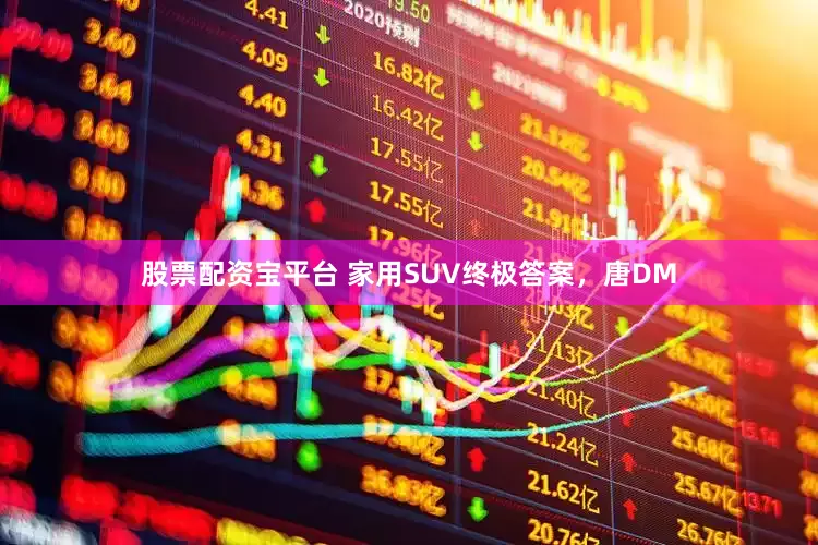 股票配资宝平台 家用SUV终极答案，唐DM