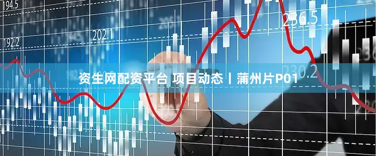 资生网配资平台 项目动态丨蒲州片P01